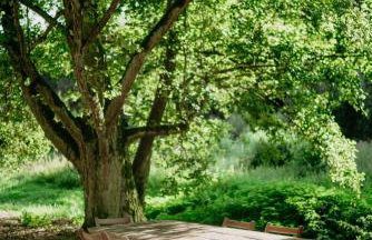 Balia i Las Domek nad jeziorem MoreLife House - Foto 21