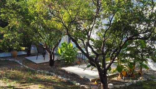 Nikos 9 - Foto 2, Garden