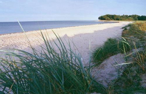 WS Ferienwohnung Strand - Foto 17