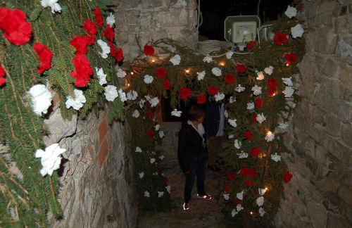 holiday on the island - Foto 33