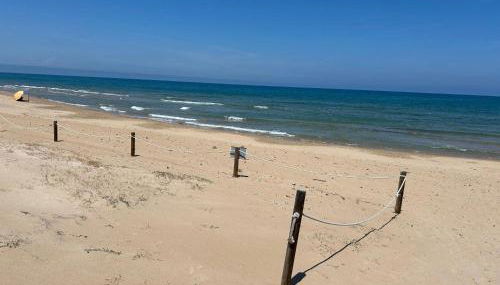 Oliva Sol Apartment - Photo 2