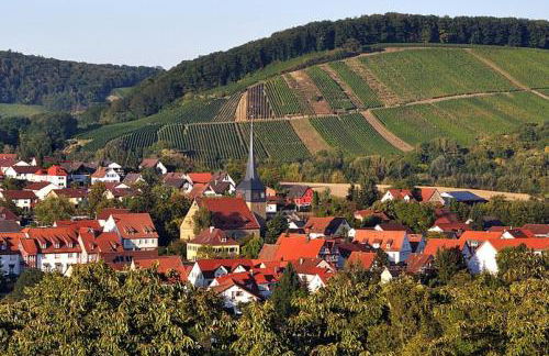 2 Zimmer Ferienwohnung - Foto 19