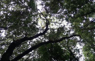 Relais Il Giardino fra gli Ulivi - Foto 42