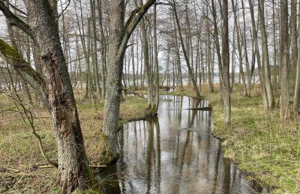 UTASIÓWKA Mazury - Photo 35
