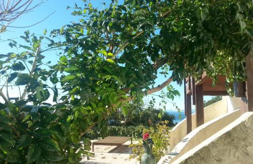 La Coccinelle - Foto 44