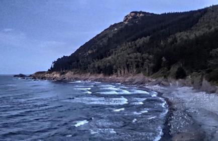 Apartamentos Iparagirre - Foto 16