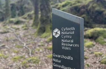 Luxurious Riverside Cottage in Snowdonia National Park - Foto 24