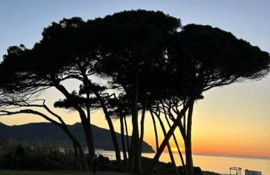 House Pula - Foto 29