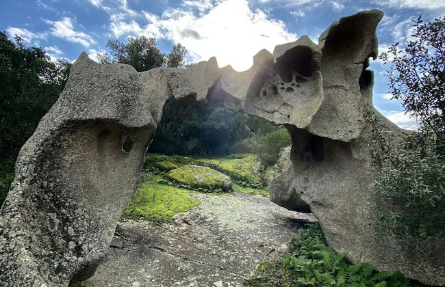 Agriturismo Lu Branu - Photo 25