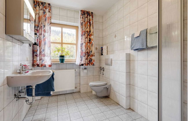 Spacious Apartment With Sauna in Schonsee - Foto 71