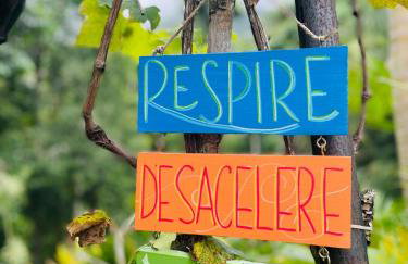 Vale Vijaya bem estar em meio à natureza - Foto 45