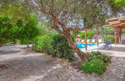 Lemon Tree Villa with Private Pool and Starlink Internet - Foto 18