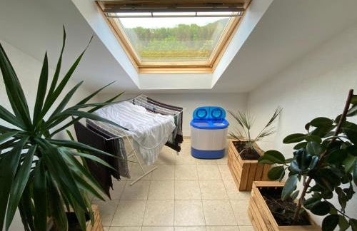 FeWo Skywalk Willingen - Foto 34