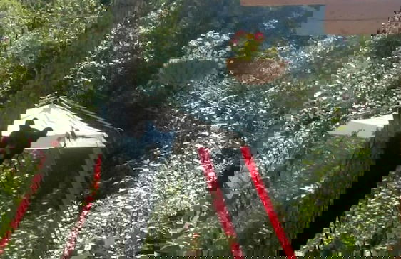 Blackburn Cabins - Photo 42