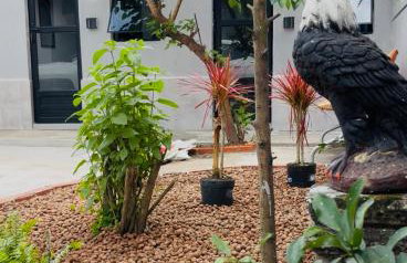 Apartamento aconchegante - Sesc Bertioga dentro de Pousada Lemon - Foto 17