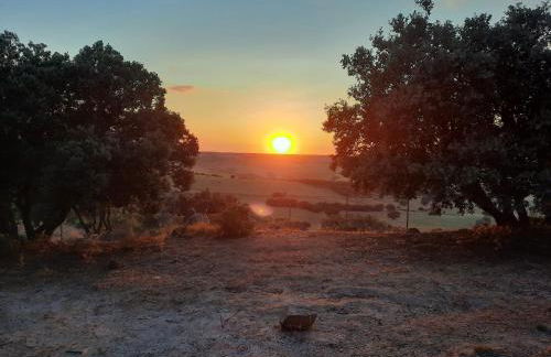 El encinar de Gabino - Foto 50