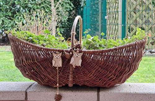 Fewo-Hengesbach - Foto 25