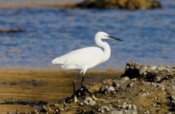 Résidence Les Iles - Photo 25