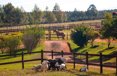 Hotel Fazenda Areia que Canta - Foto 7