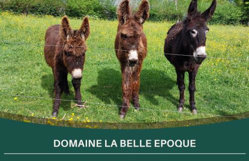 La Belle Epoque Sansac de Marmiesse - 4 Gites de 2 à 6 personnes - Petit Dej - 15 minutes d'Aurillac - Cantal - Foto 47