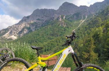 Residence La Pineta - Foto 58