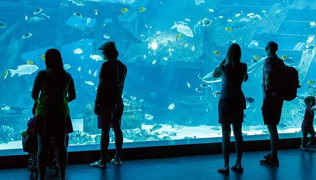 Alanya: Boleto de entrada al Acuario de Antalya con traslado al hotel - Foto 2