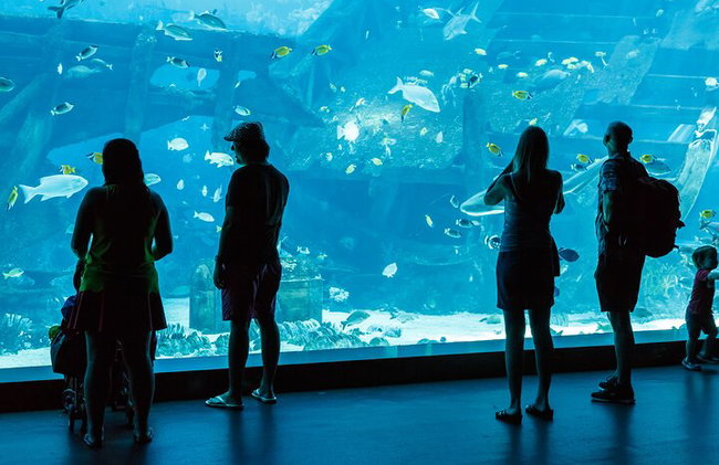 Alanya : Entrada al acuario de Antalya con traslado opcional - Foto 2