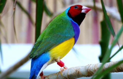 Relaxen am Nationalpark Eifel - Foto 65