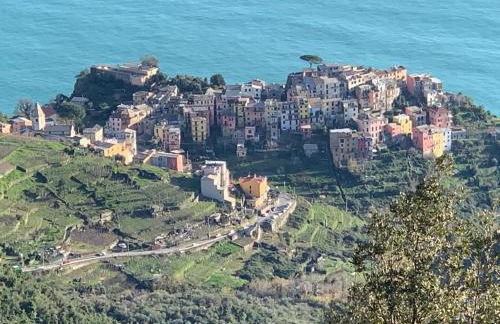 Casa Vacanze Pinuccia - Foto 16