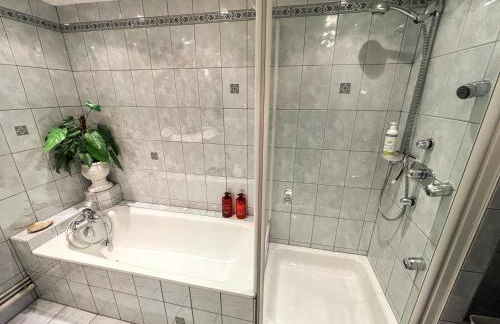 Le Green Field Lodge - Parking Gratuit - Standing - Centre Ville - Commerces à Proximité - Foto 20