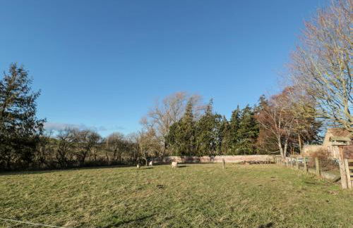 Cheviot View - Foto 18