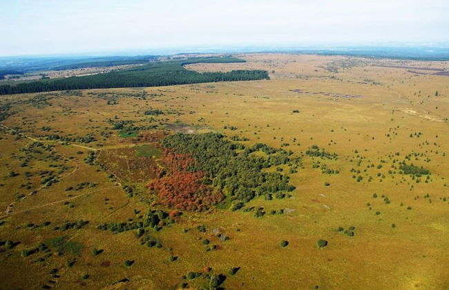 Nice Holiday Farmhouse Located in Sourbrodt near Ski Resort of Ovifat - Foto 46