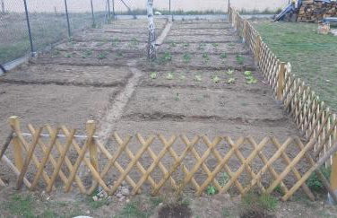 Pauza Drzewoszewo - Dom nad jeziorem - Foto 42