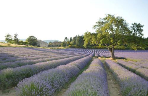 Appartement Bellevue du Ventoux - Foto 16