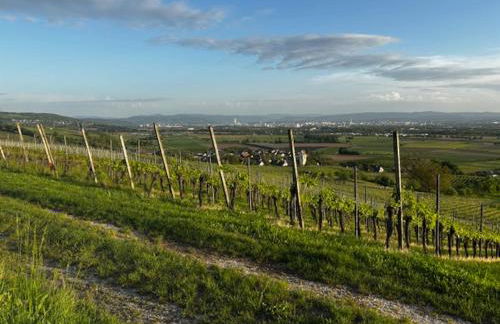 Guest House 3 Binzen - Foto 18