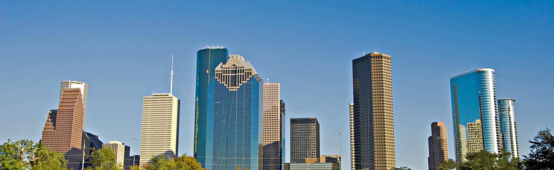 Houston Sightseeing Tour - Foto 1