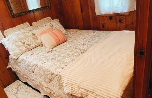 The Good Life Cabin - Close to Mackinac Island - Foto 17