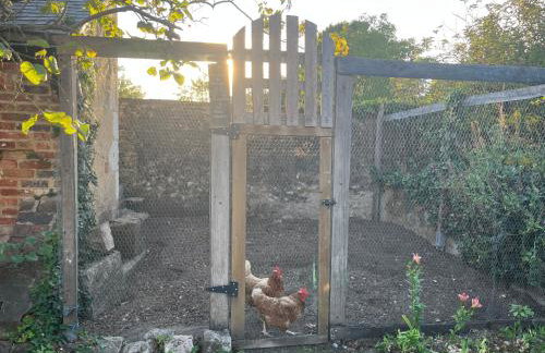 Le Petit Lavoir - Joli studio à Mayet - Foto 15