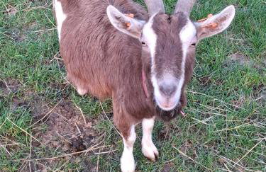 Mardi Gras, Upwell - Foto 29