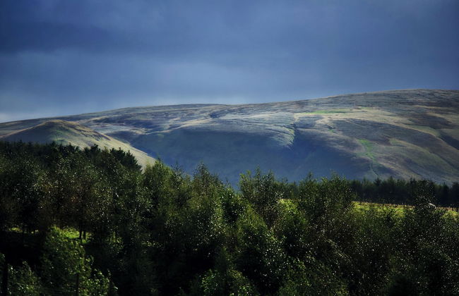 Mauldslie Hill Cottage - Photo 11