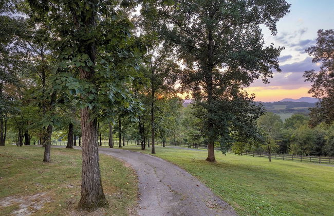 Amber Refresh by Avantstay Pool and Hot Tub - Foto 36