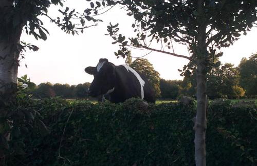 Bishops Farm - Foto 6