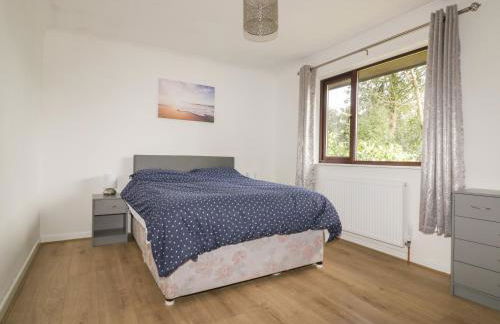 Three Jays - Foto 10