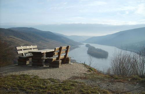 Schau-Rhein#2 - on Top of Bacharach, Rhineview - Photo 25