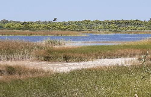 TERRAZZA LA LOGGIA - Appartamento Panoramico - Foto 31