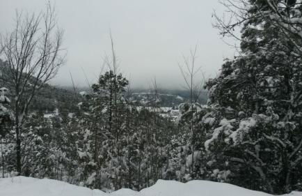 Casas Rurales el Olmo - Foto 22