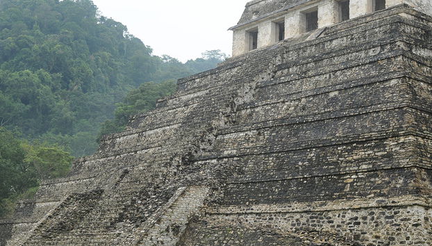 Palenque Zone and Waterfalls from Tuxtla Gutierrez - Foto 4