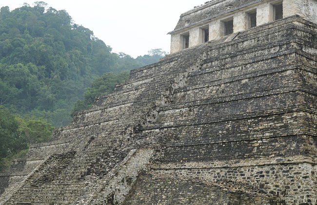 Palenque Zone and Waterfalls from Tuxtla Gutierrez - Foto 4