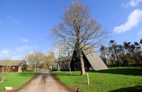 Lodges in Lanivet Cornwall with indoor pool - Foto 7