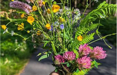 Klein Waldseele - Foto 27